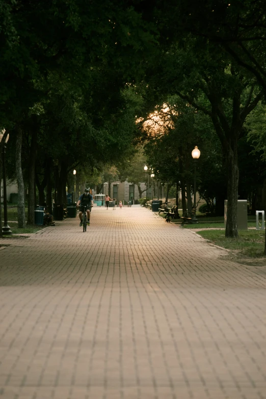 a person on a bicycle riding down a path