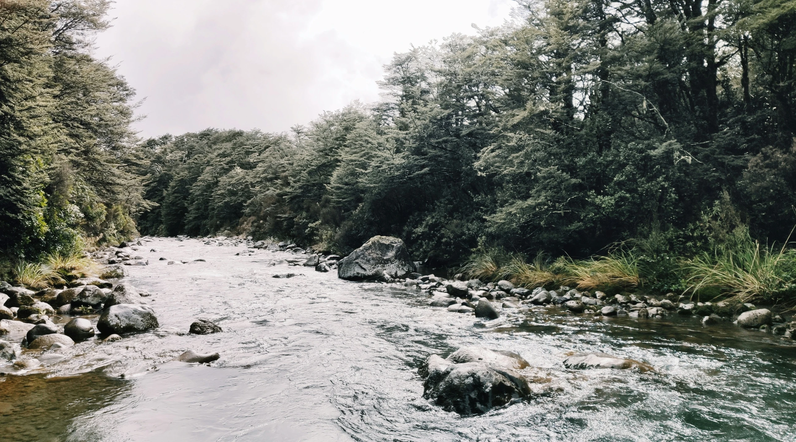 a river with rocks in it surrounded by trees