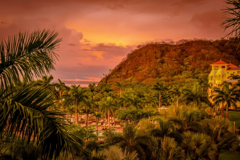 a tropical area with trees and bushes under a very cloudy sky