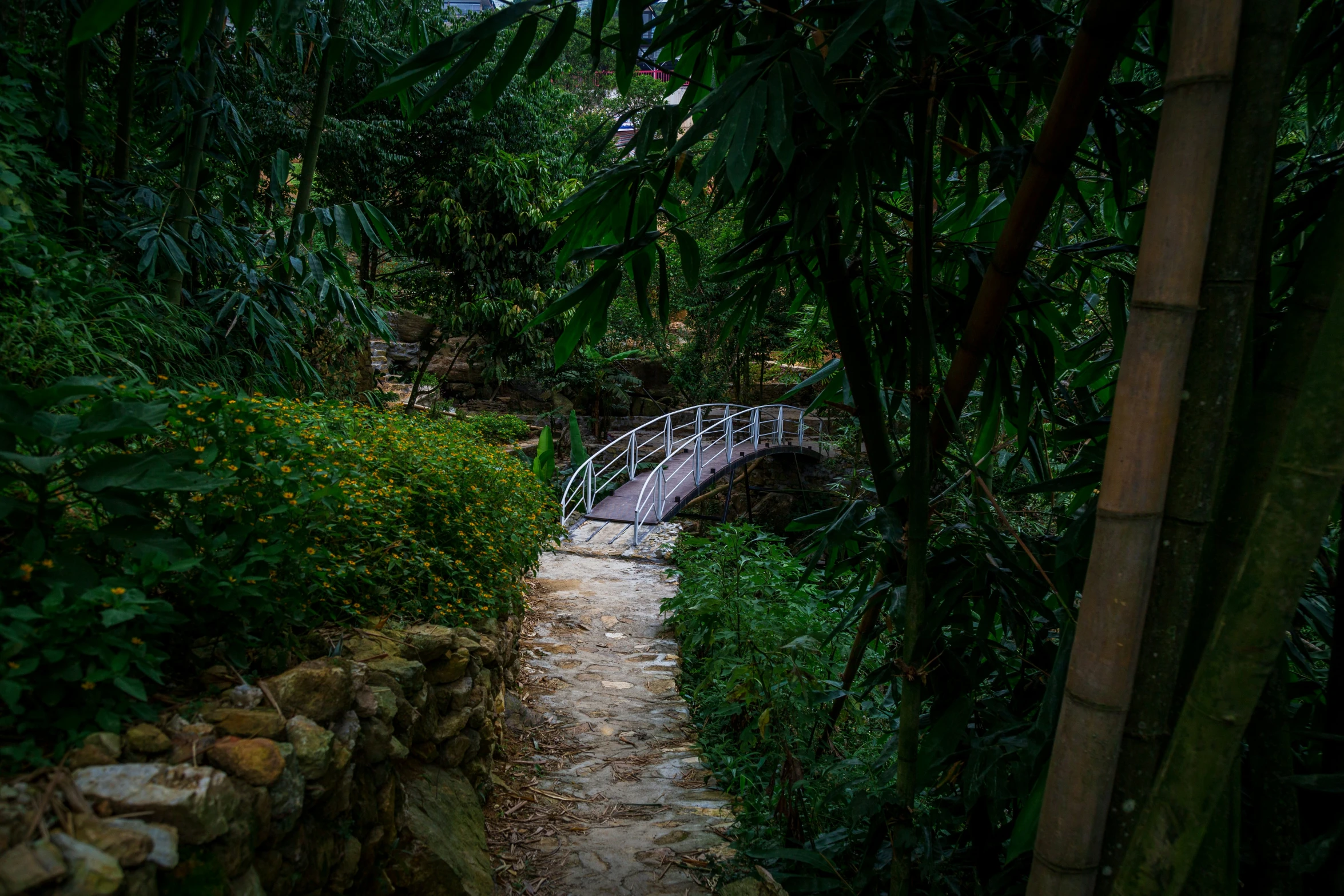 a white bridge with a pathway that leads to it