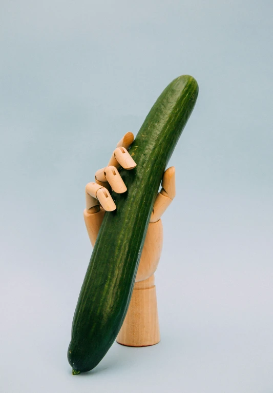 a cucumber with some wood on it in the middle of the image