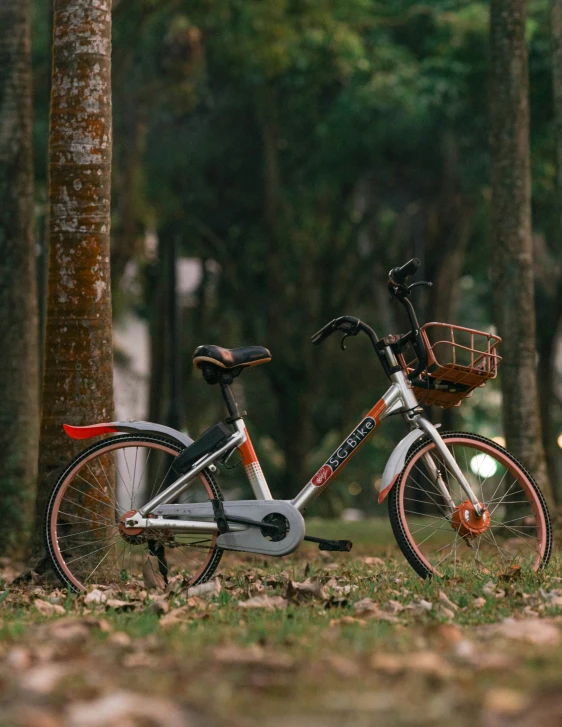 a bike is parked next to some tall trees