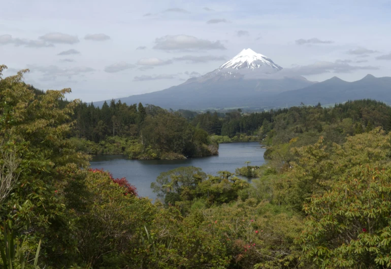 a snowy peak looms over the forest of green, blue and red trees