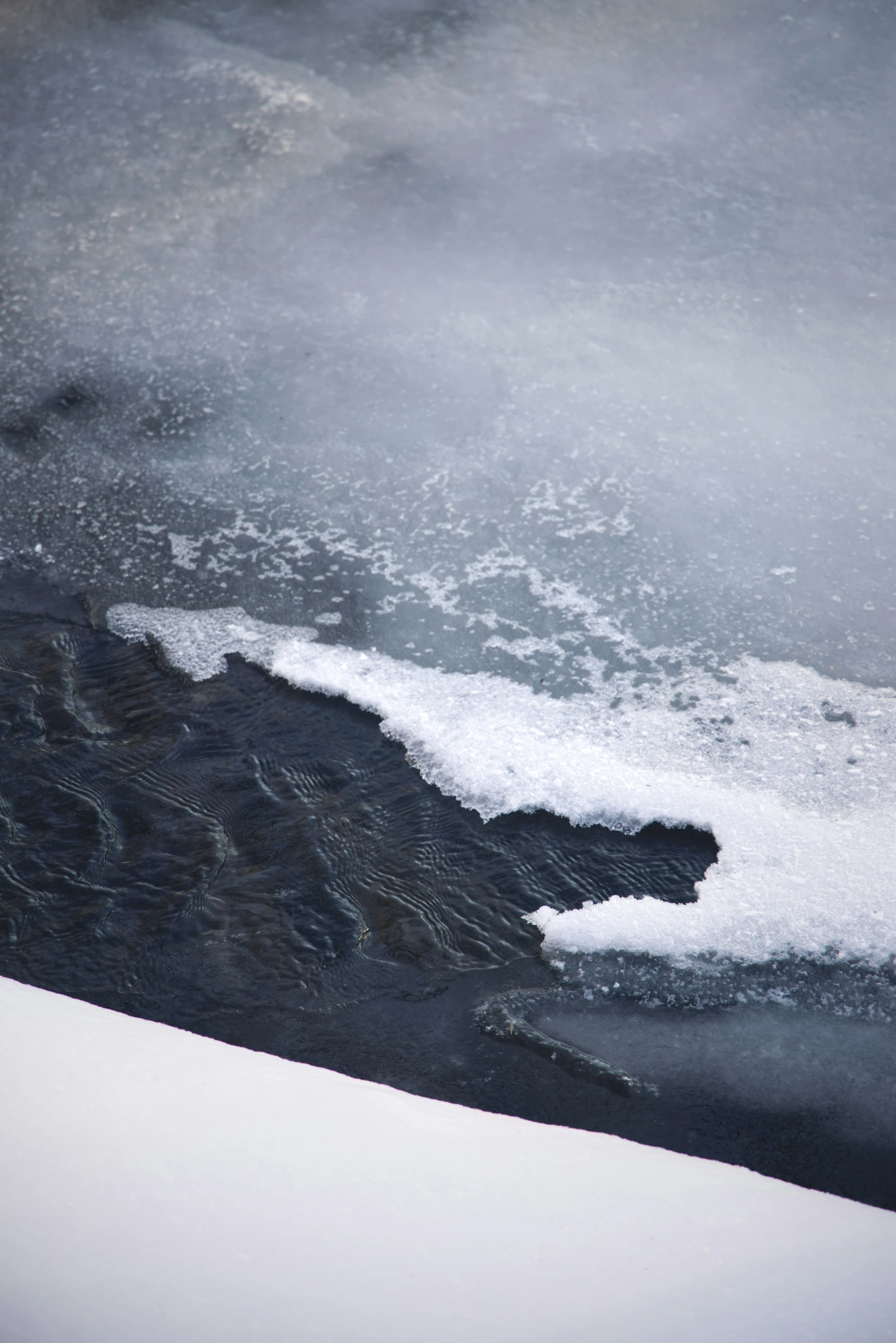 a bird sits on the snow with some water