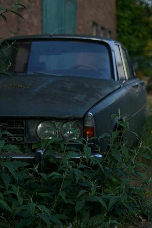 an old, run down and rusty car parked in the weeds