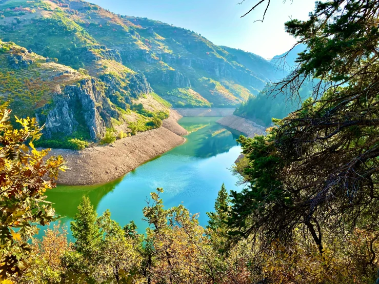 a wide body of water surrounded by trees