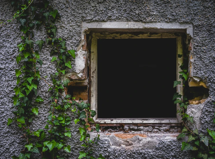 window in stone wall with ivy growing around