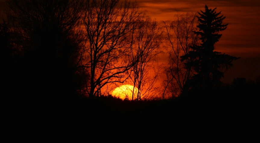 a sunset seen through the trees over the hills