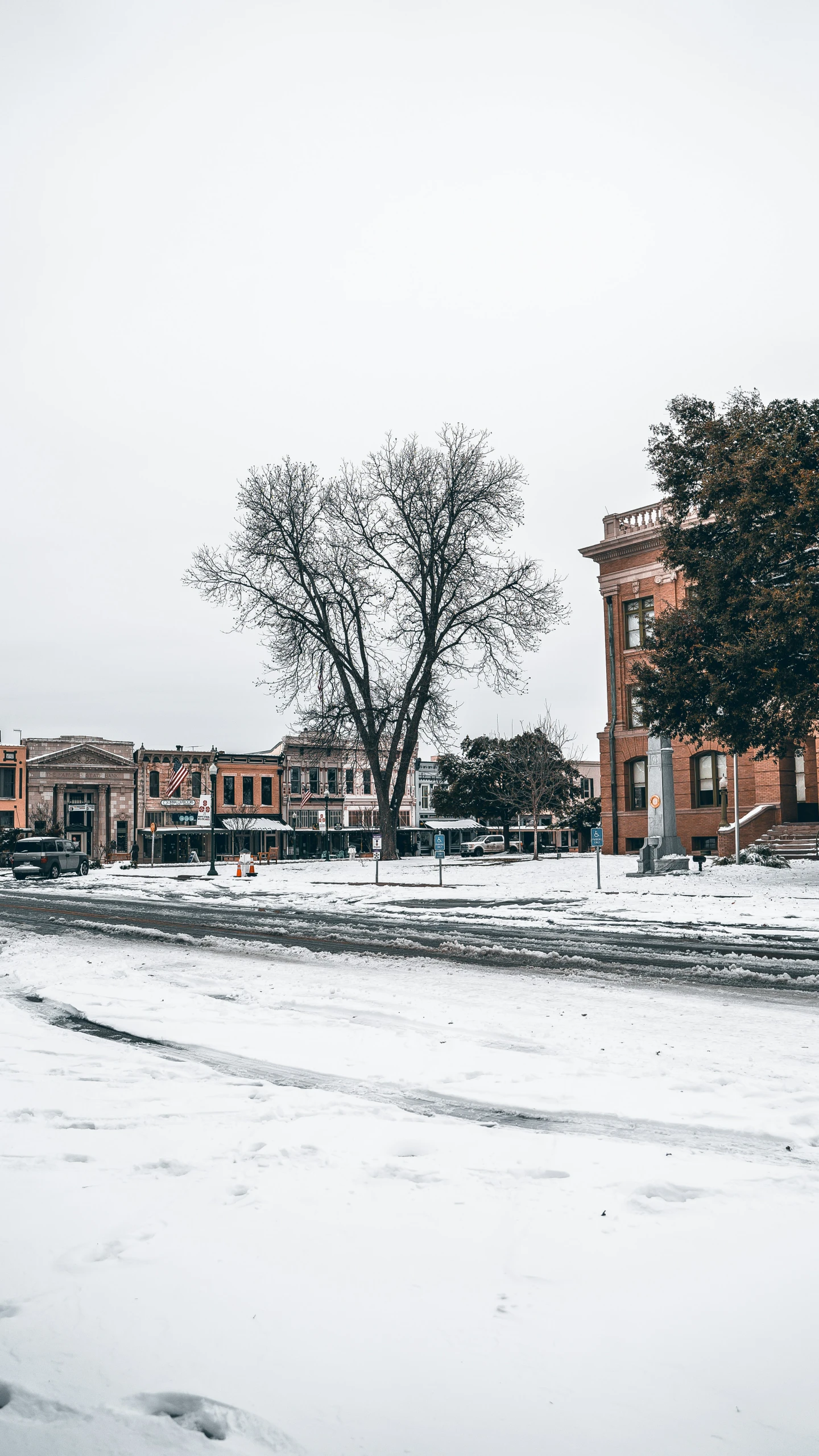 a tree near some buildings covered in snow