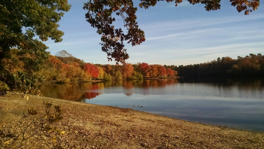 the water is still quite clear on a nice autumn day