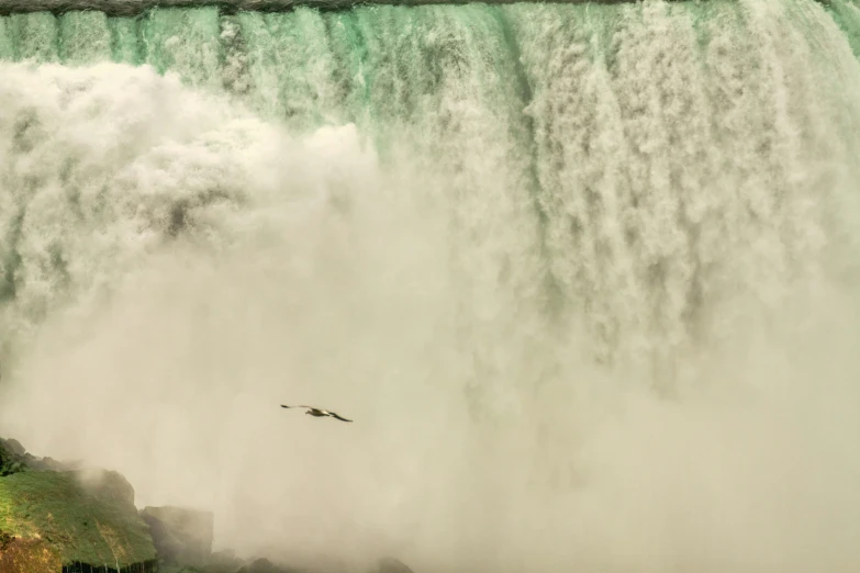 a bird flying by the falls in the rain