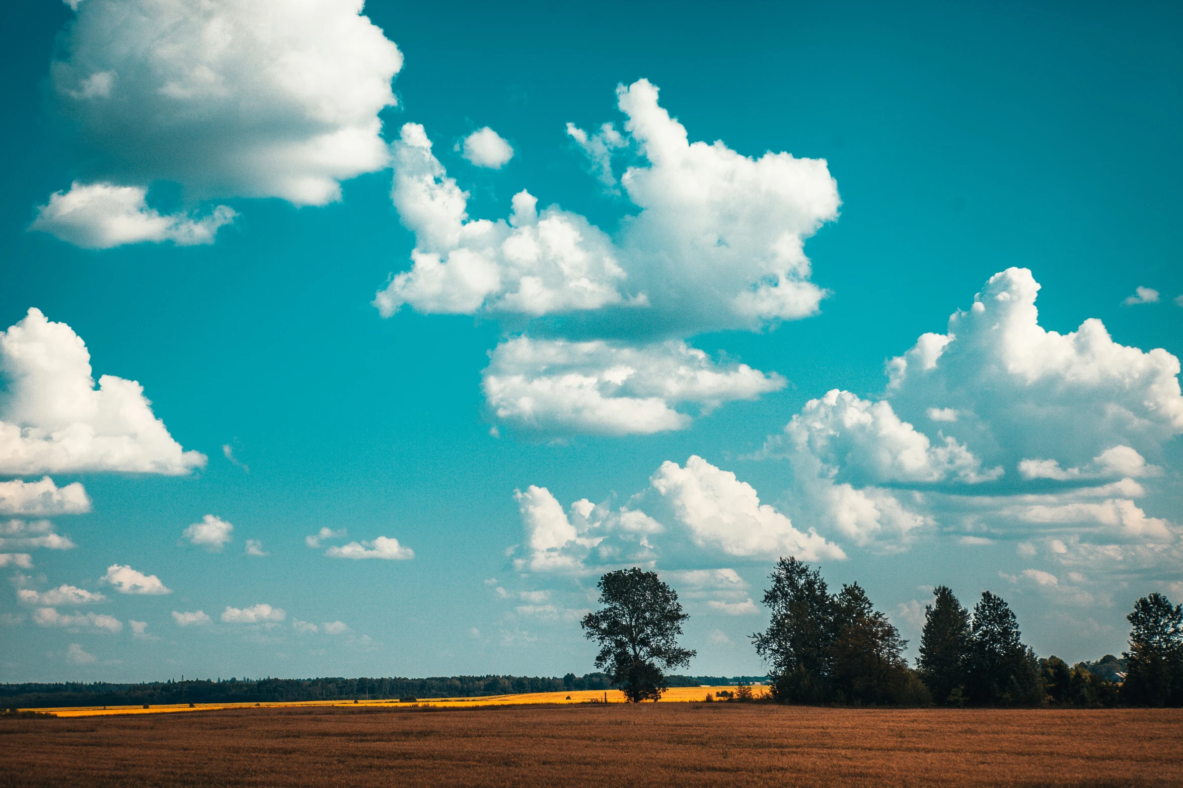 clouds in the blue sky over a farm field