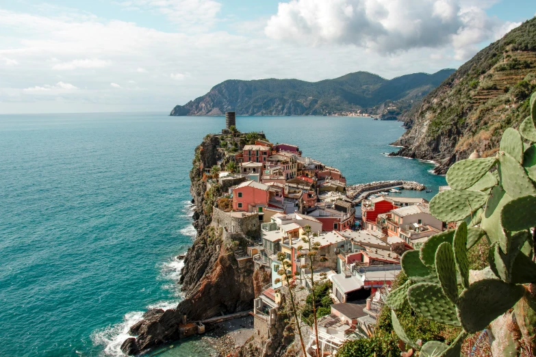 an image of a resort on the ocean with cactus