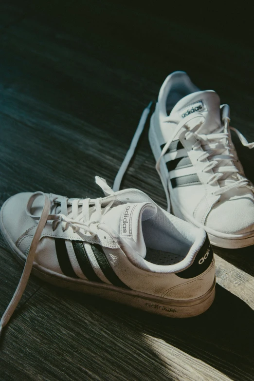 two shoes are laying on the floor side by side