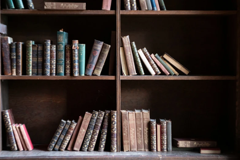 several books are lined up on bookshelves