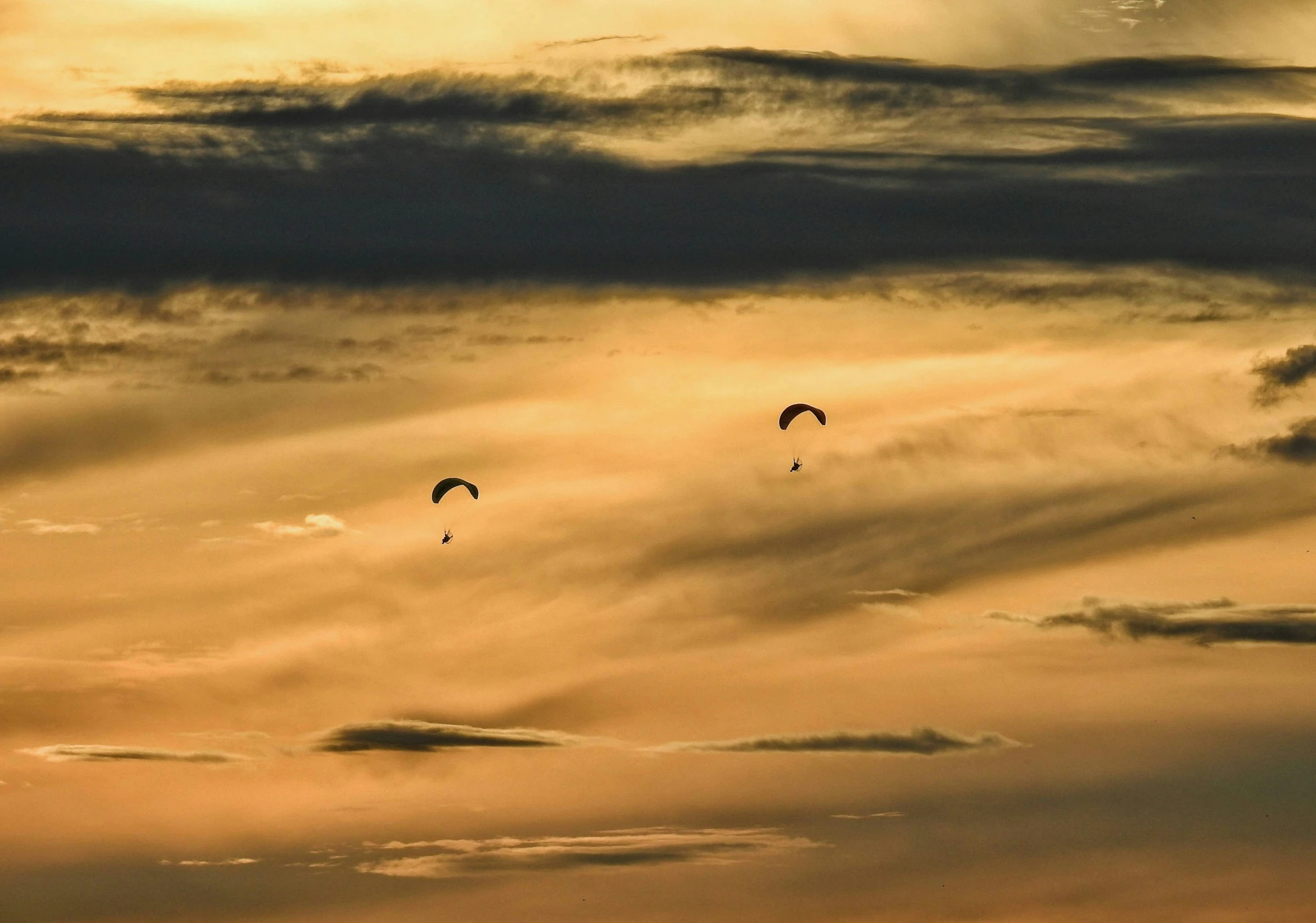 a group of birds flying high in the sky