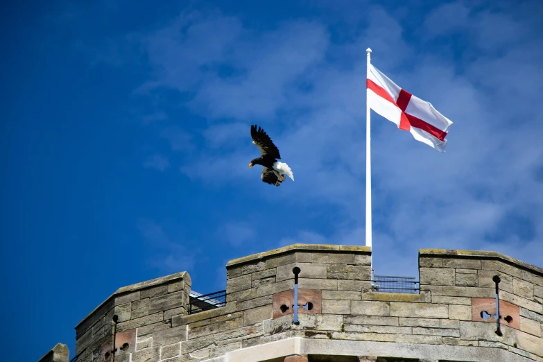 an eagle is flying near a flag on top of a tower