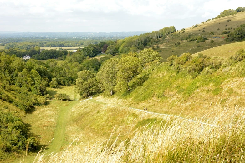 a grassy hill with some trees on both sides