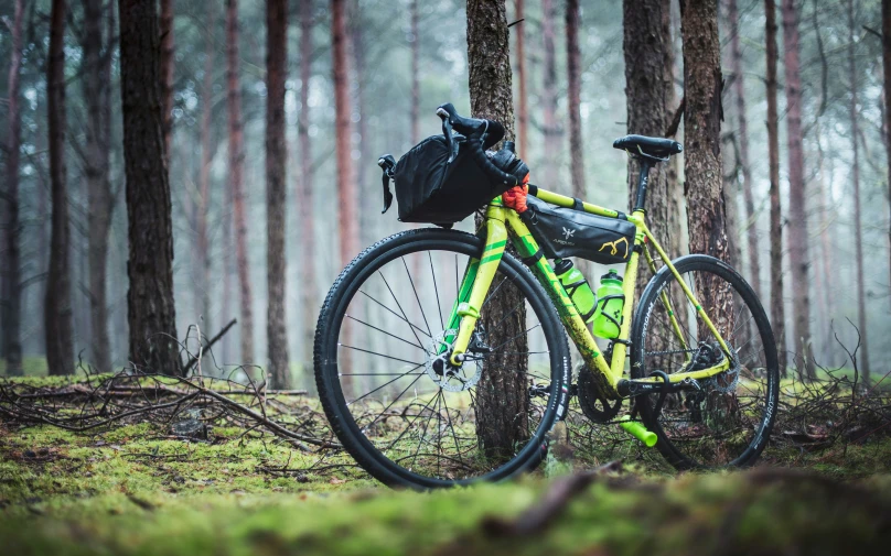 the bike is parked by the tree in the forest