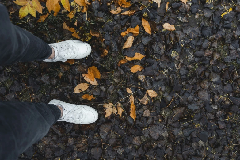 feet standing in between the leaves on a trail