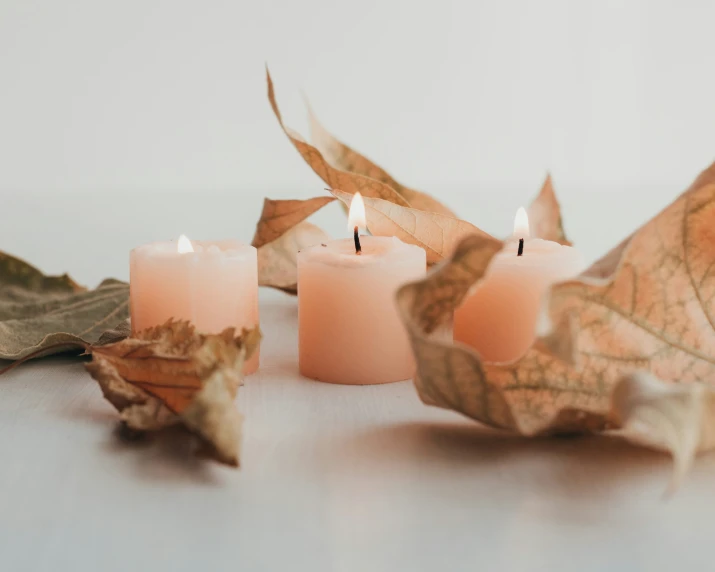 two votive candles are burning near two dead leaves