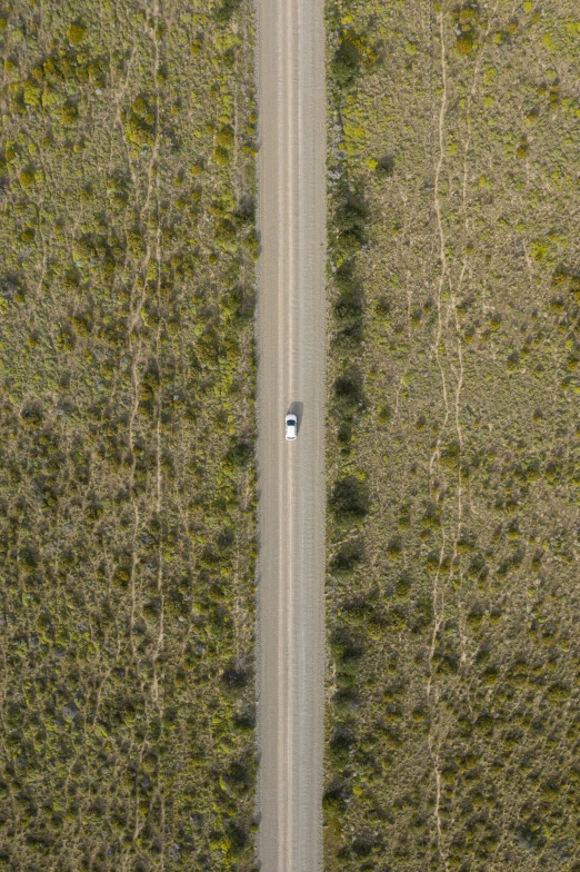 the road in front of the trees is curved as if it was straight ahead