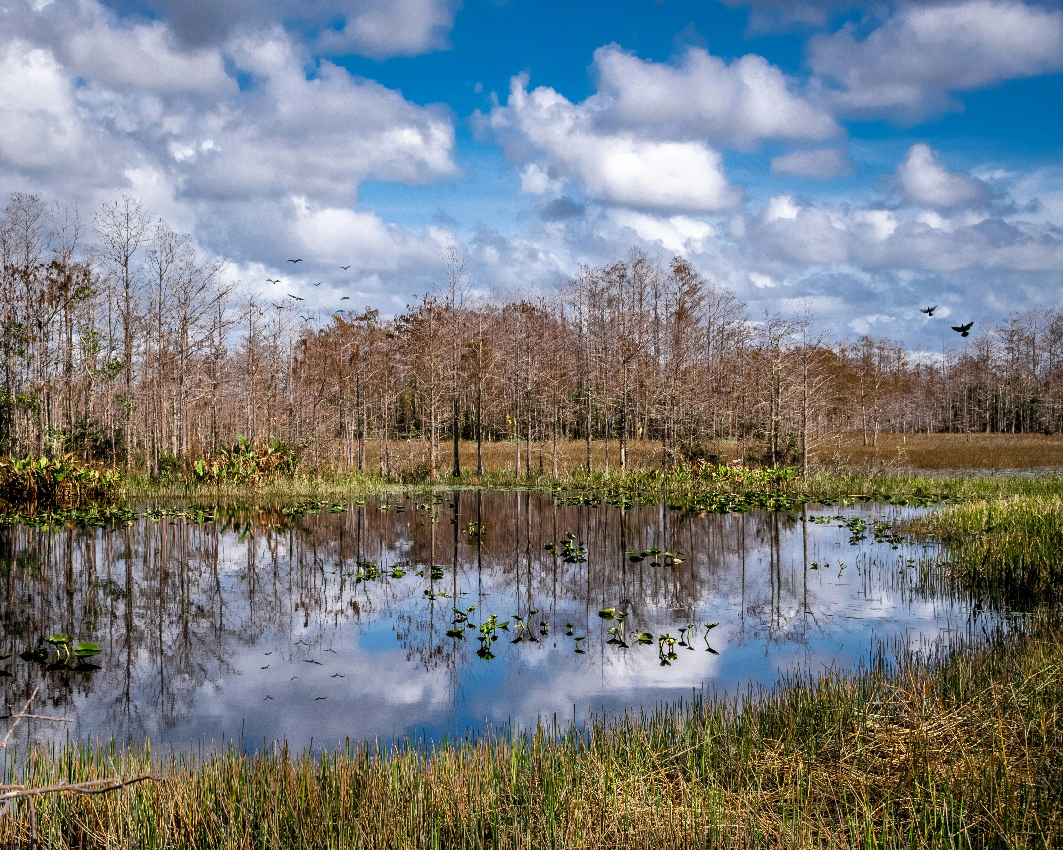 the water is reflecting the sky and clouds