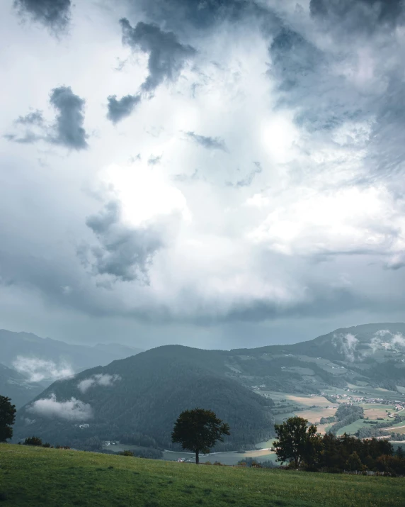 a field with trees and a mountain in the background