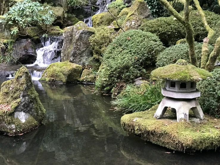 the water is surrounded by moss and trees