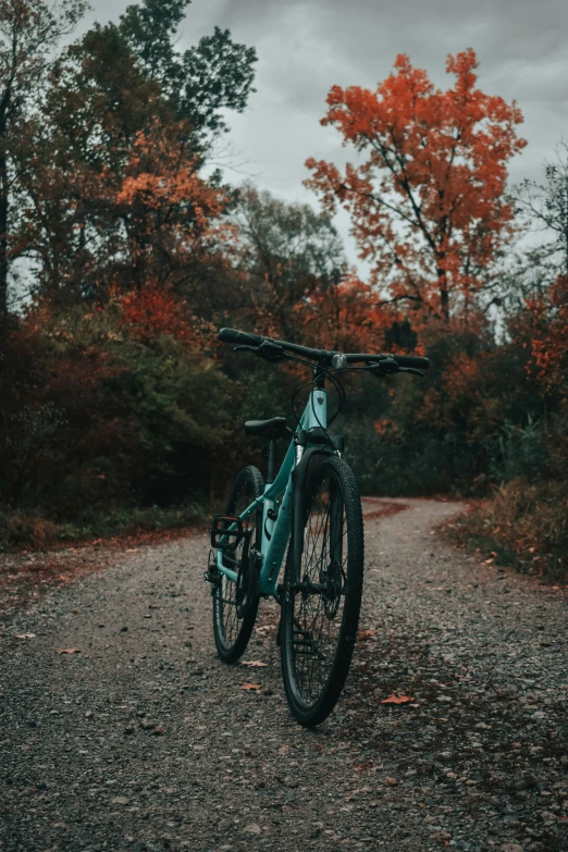 a bicycle parked on the side of a road next to autumn trees