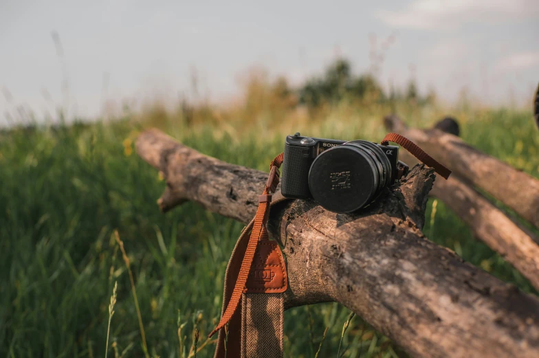 camera sitting on top of the log in a grassy field