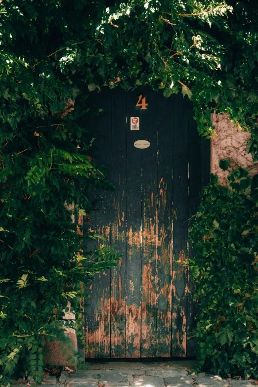 large door of wood with green trees around