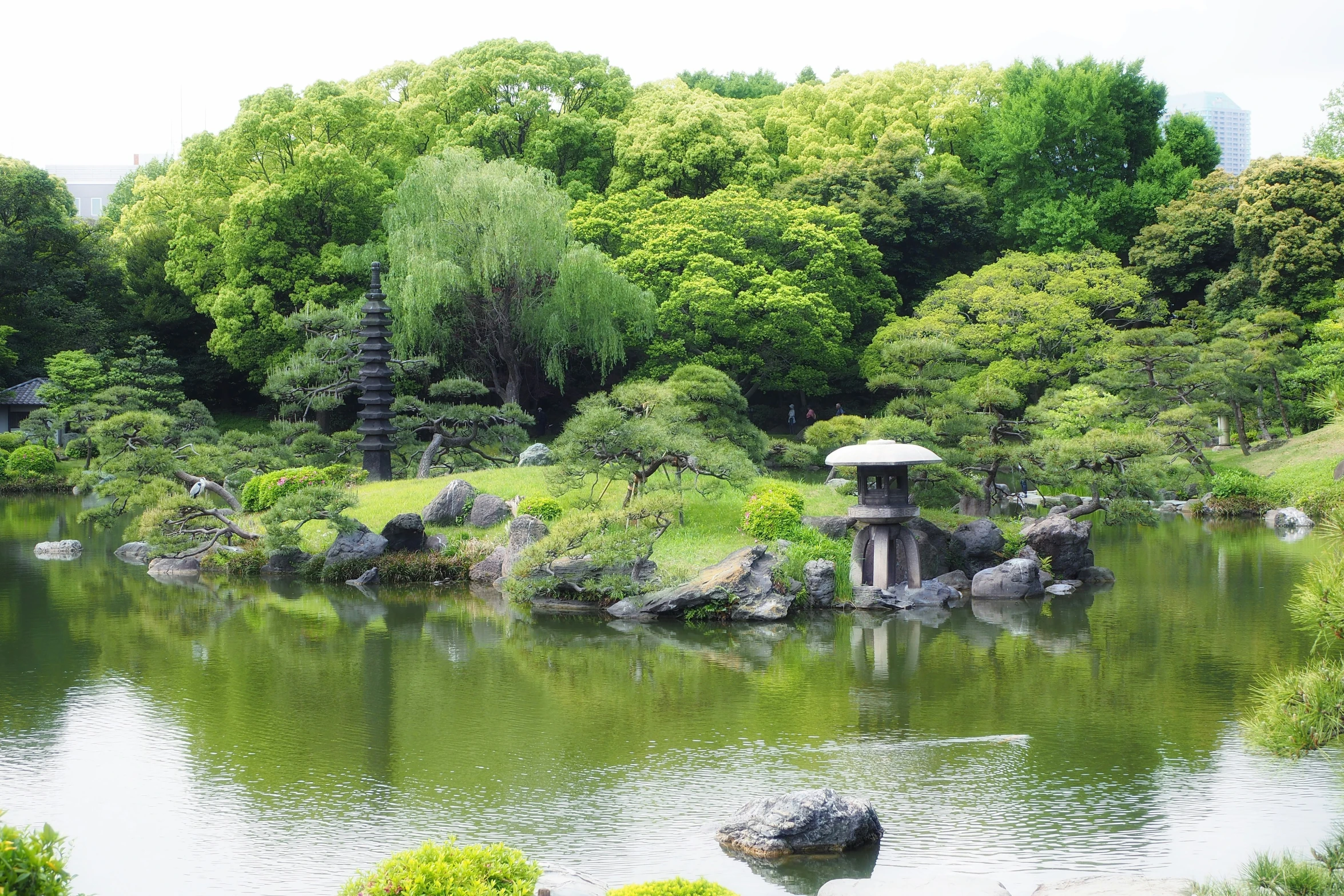 a large pond with small stones sitting in the middle of it