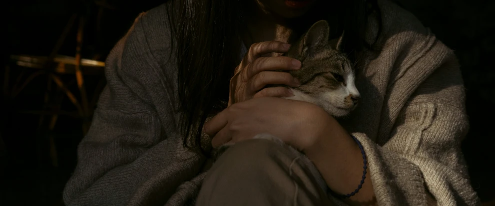 a close - up po of a girl holding a cat in her arms