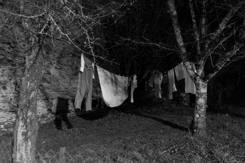 towels hanging in the dark in front of a wooded area