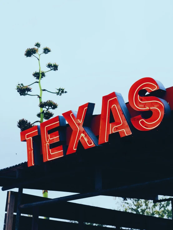 a sign saying texas in red letters that reads texas