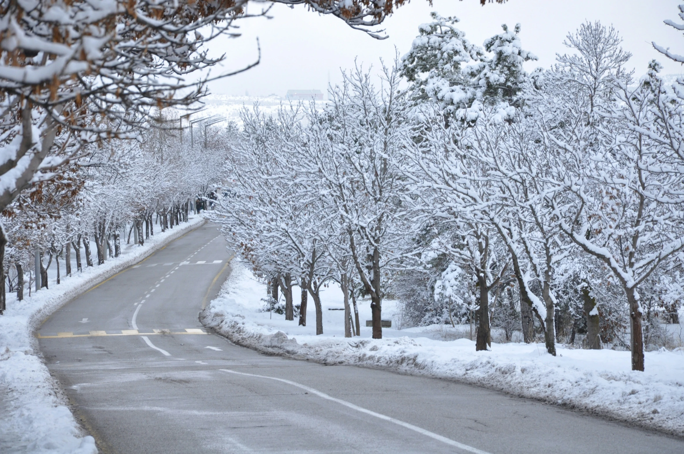 a street with lots of snow along the sides and lots of trees