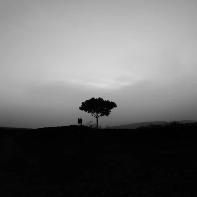 two people are standing near a tree in the distance