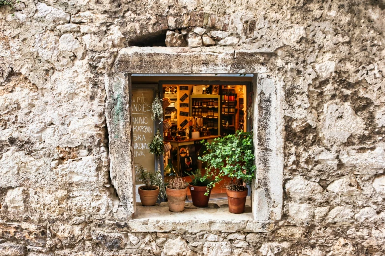 potted plants sitting in the window sill on an old brick building