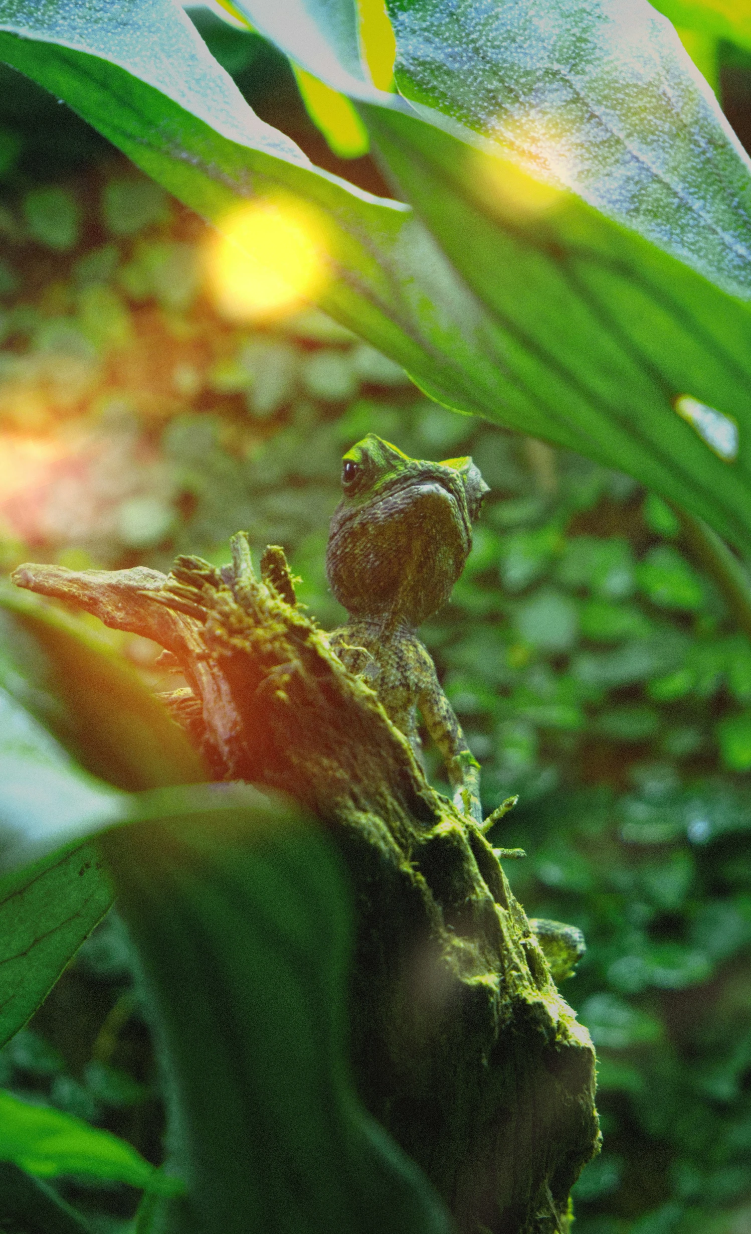 closeup po of a little bird perched on a green plant