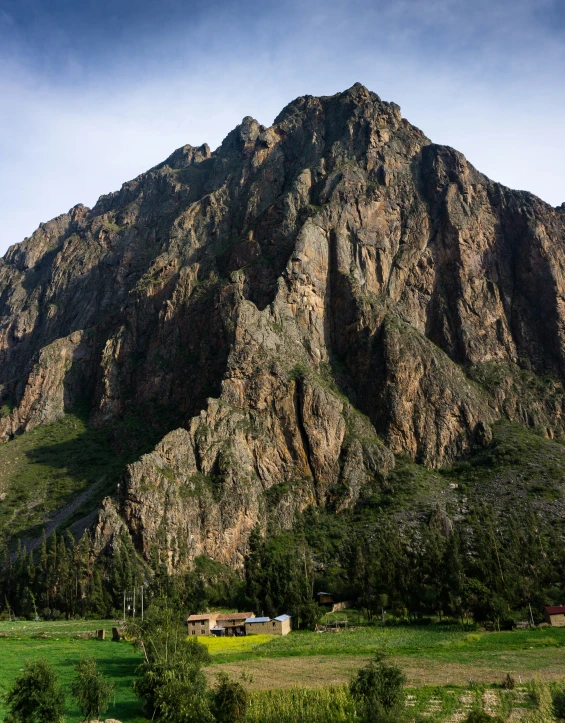 a large mountain with many different trees and bushes