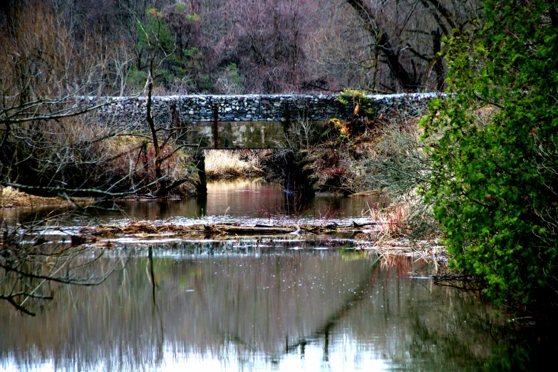 a pond with a bridge next to it