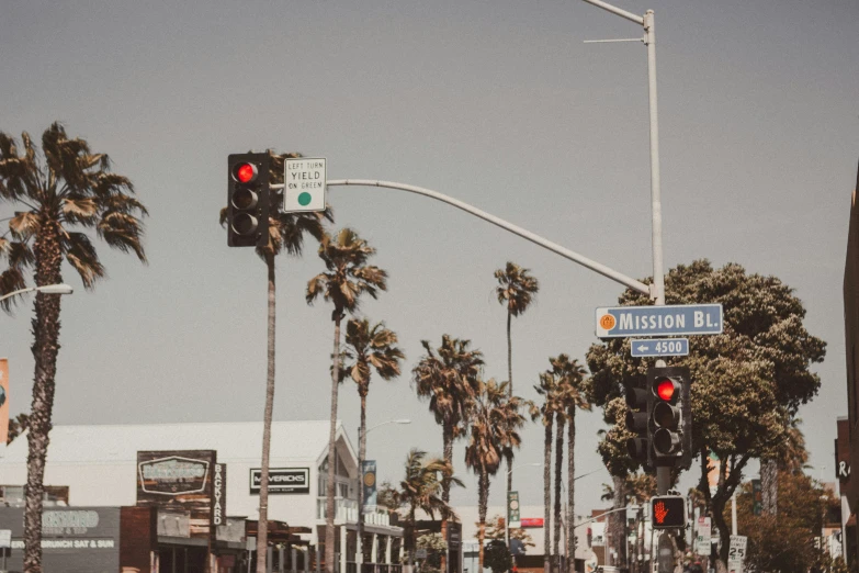 traffic lights on a downtown street surrounded by palm trees