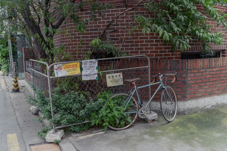 a bike leans against a fence with weeds on it