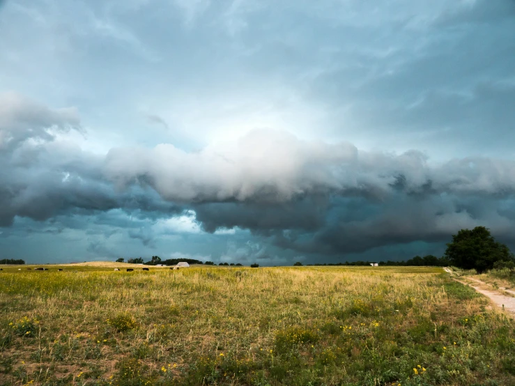 an open field with some cars driving in it