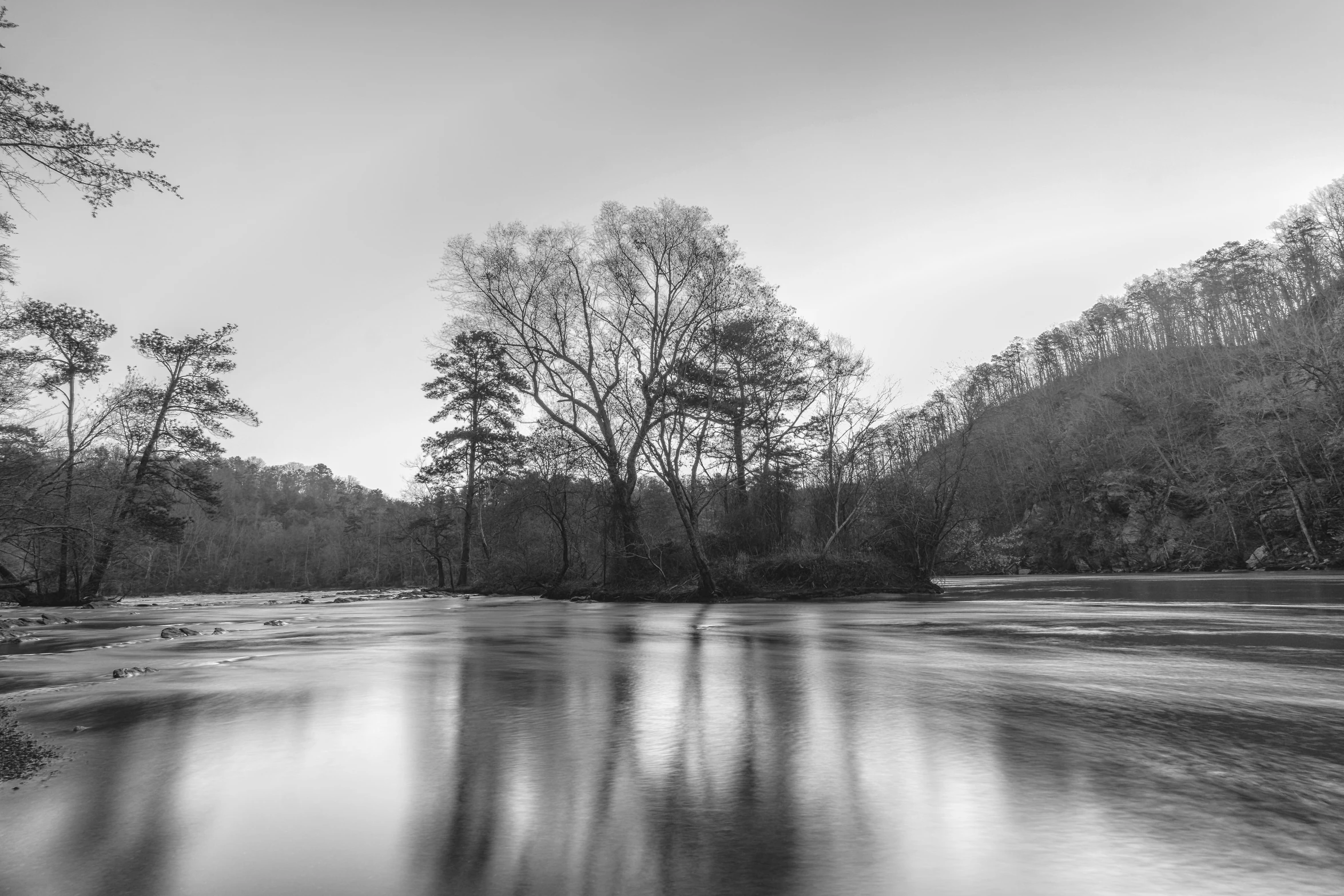 a wide view of water in the woods