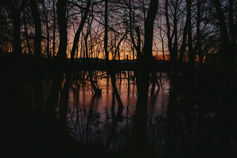 a lake surrounded by tall trees in the sunset