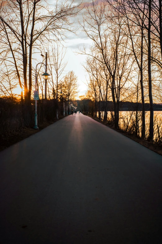 a road with a fence and lots of trees on it