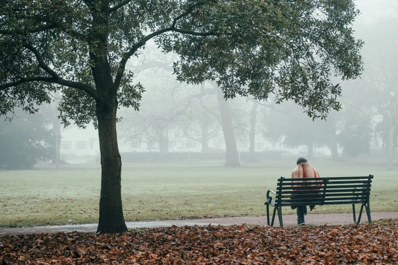 a person sitting on a bench in the park