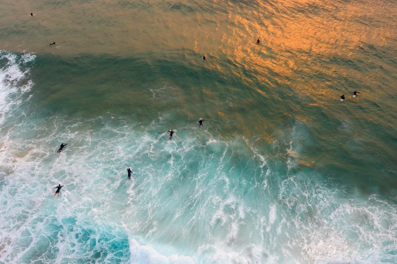 people riding boards in the ocean on waves